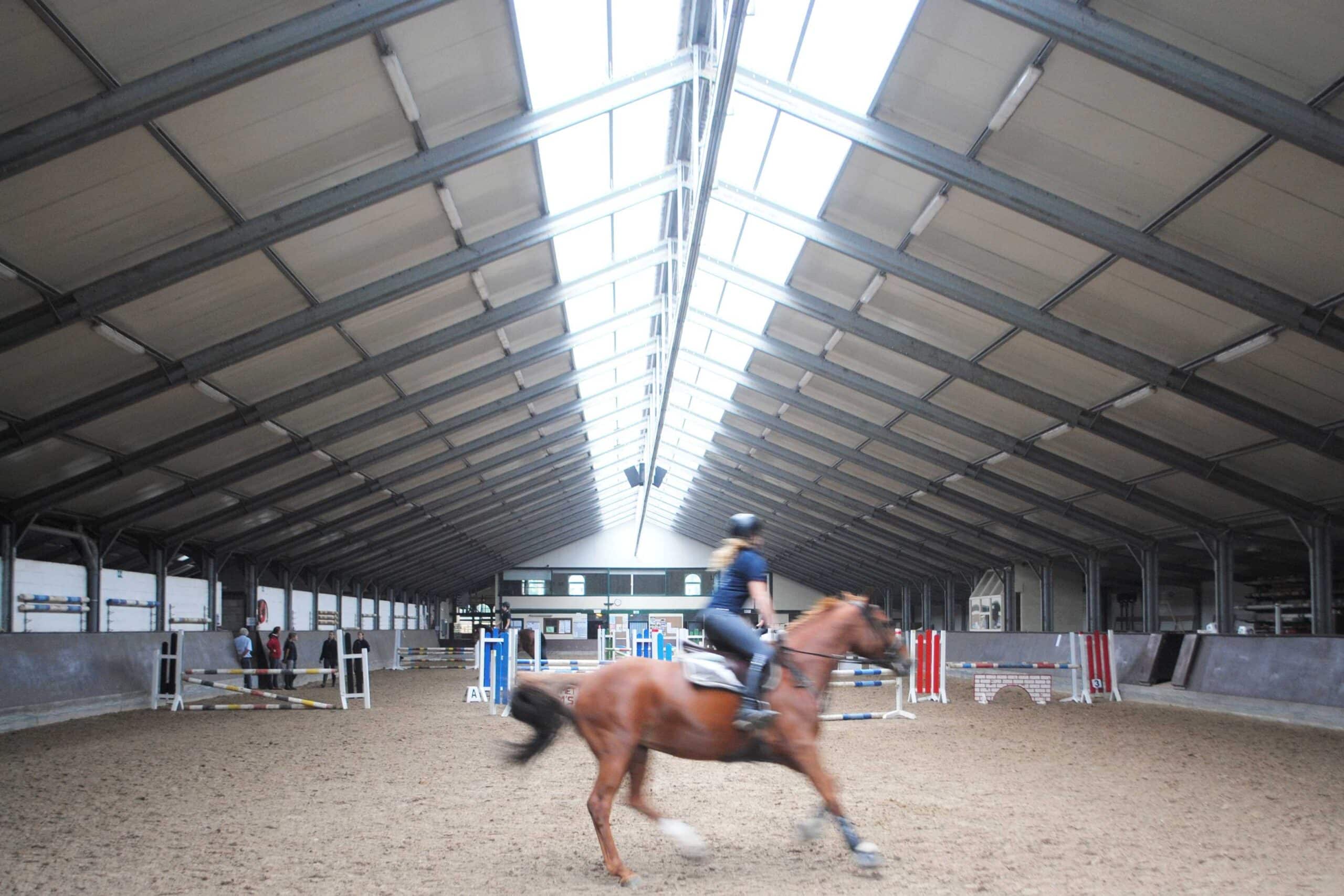 Sport Leisure buildings Horse arena Interior Frisomat