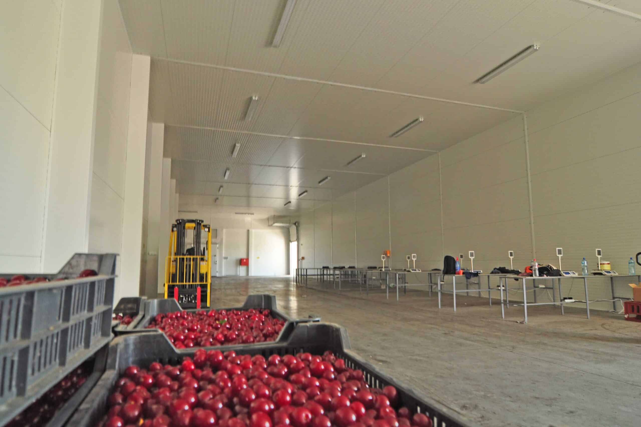 Agricultural buildings Vegetable Fruit storage Interior Frisomat