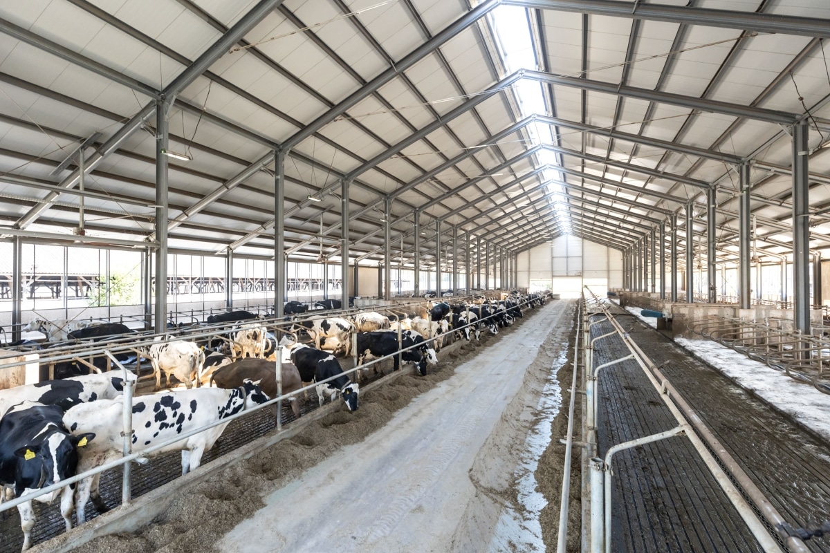 Koros Maros Biofarm Kft 009