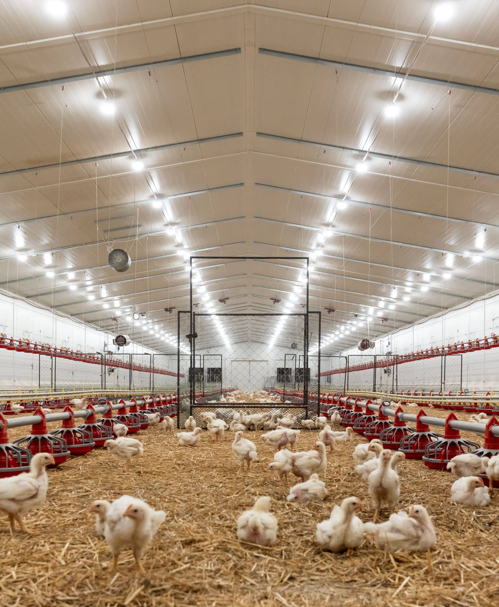 Mezőgazdasági kisüzemek beruházási támogatása 15 230719 Tarkany Frisomat 012 scaled