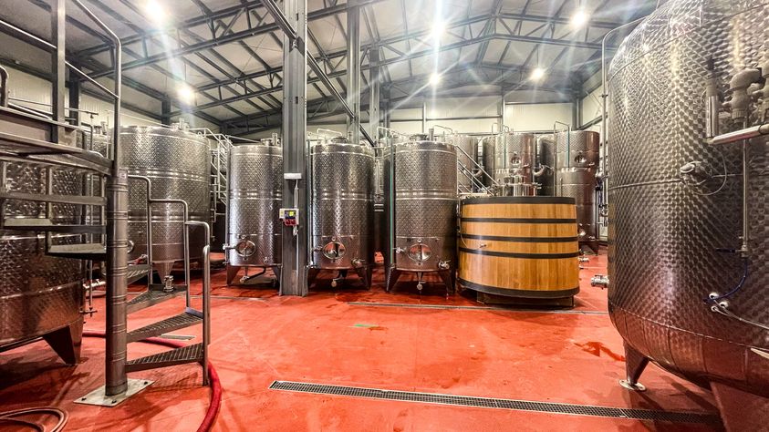 16 pandora vitisim crama vin costesti vrancea frisomat romania 16