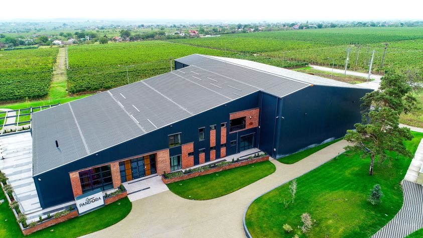 pandora vitisim crama vin exterior frisomat romania